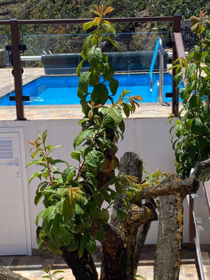 Casa Lola *